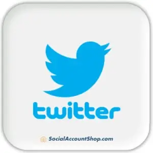 Twitter account profile interface on desktop and mobile devices